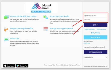 mount sinai intranet login